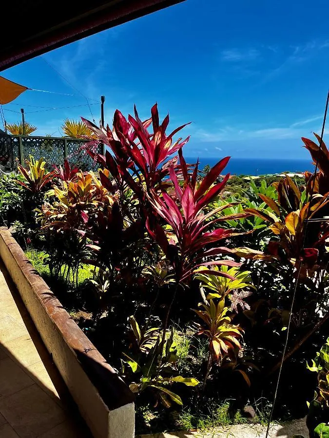 Studio L'Orchidee - Arue Apartment Arue  0*, Arue (Tahiti) French Polynesia